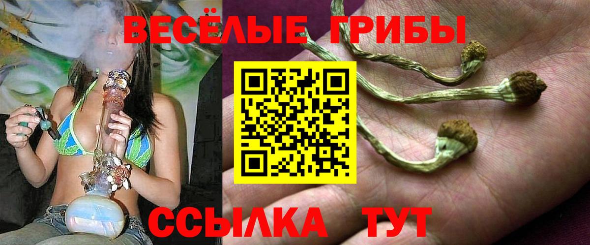 Псилоцибиновые грибы Cubensis Вышний Волочёк