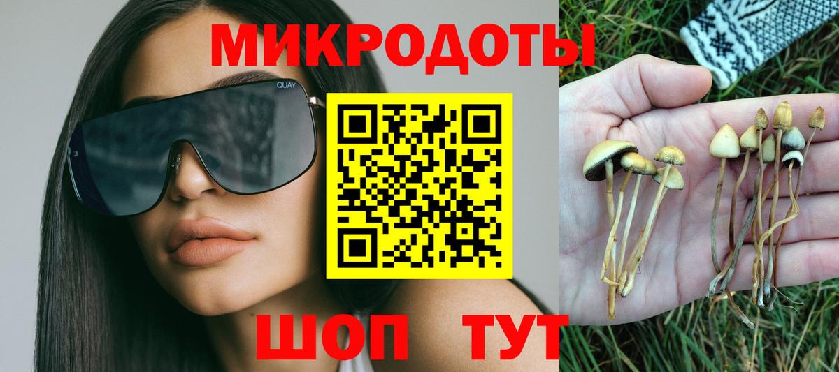 Псилоцибиновые грибы мицелий  Вход с VPN  Вышний Волочёк 